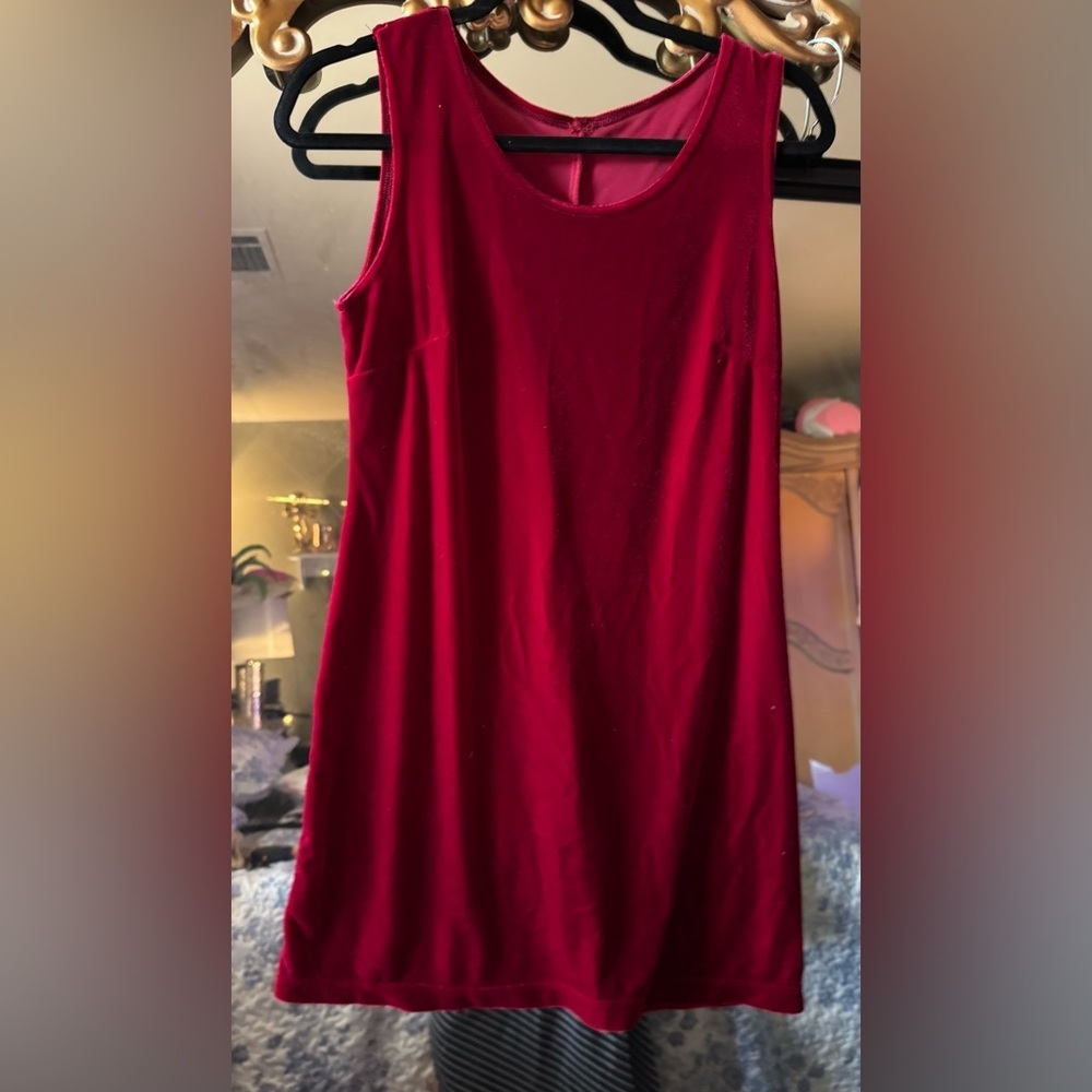Red Sleeveless velvet Dress - Picture 2 of 4